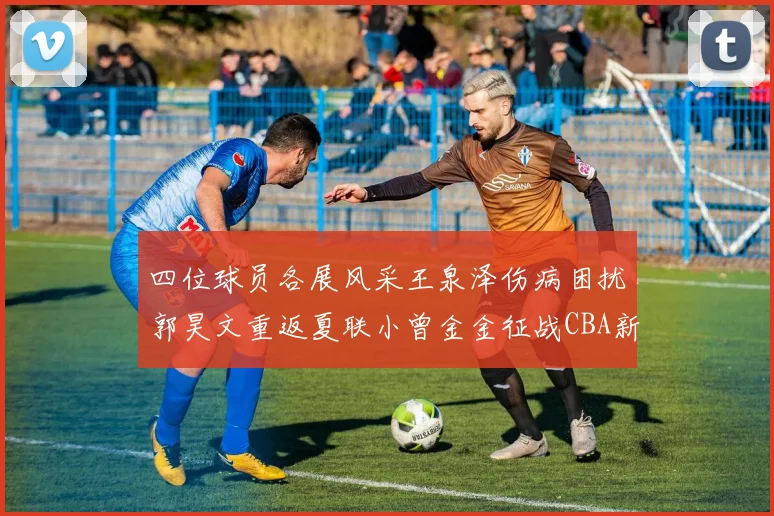 四位球员各展风采王泉泽伤病困扰郭昊文重返夏联小曾金金征战CBA新赛季
